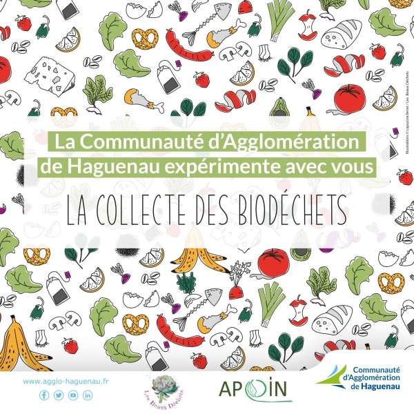Bio déchets