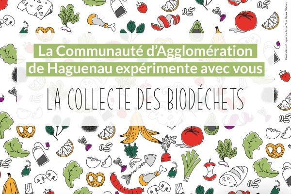Le compost au cœur de la ville ! ?