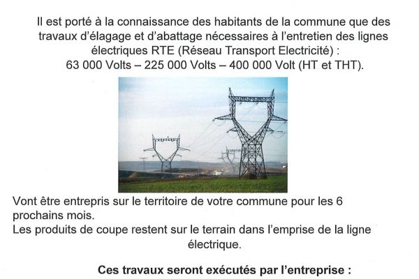 Travaux d’élagage et d’abattage
