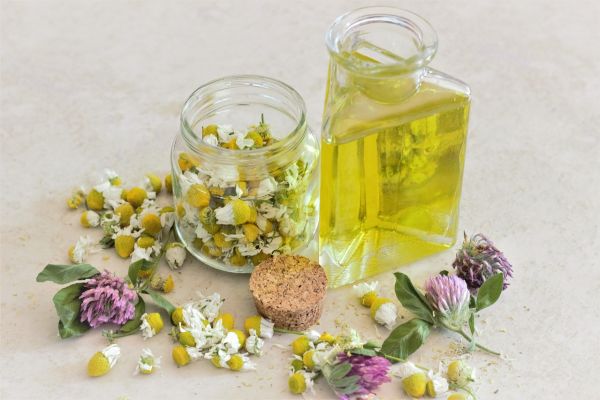 Cours de l'Université Populaire - Phyto-aromathérapie