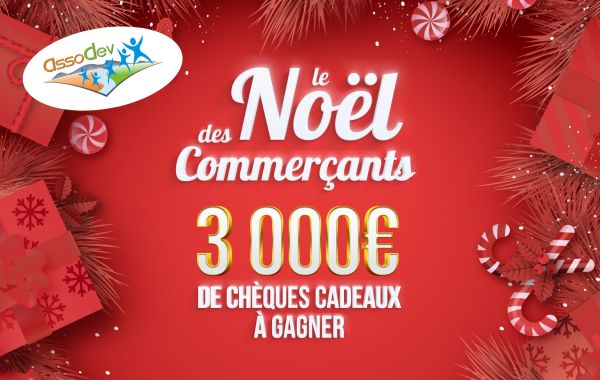 Grand Jeu de Noël de l'Asso'Dev