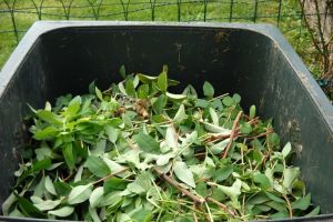 Opérations de broyage de déchets végétaux