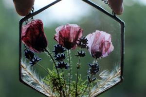Atelier EN DUO – ADO/ADULTE : Créer votre cadre de fleurs pressées avec Céline Godié d’Ainsi Va Lavis (à partir de 12 ans)