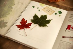 Atelier ENFANT : L'automne en stickers (à partir de 8 ans)